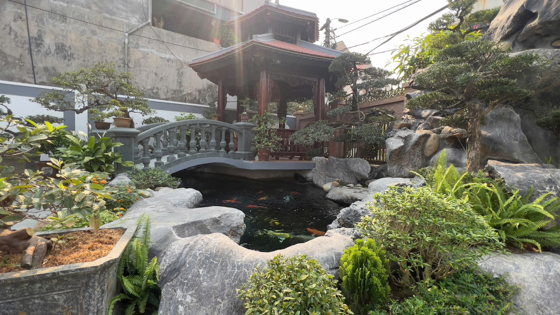 hokoi1