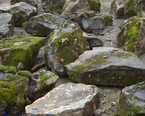 moss-rock-examples
