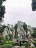 mau-san-pham-thiet-ke-va-che-tac-da-tuyet-son - ảnh nhỏ  1