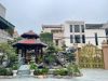 thac-nuoc-be-cay-chat-lieu-da-xanh-den - ảnh nhỏ  1