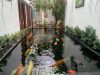 thiet-ke-thi-cong-ho-ca-koi - ảnh nhỏ 5