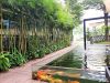 thiet-ke-thi-cong-ho-ca-koi - ảnh nhỏ 7