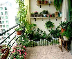 🌱 Bài 5: Bí quyết giữ ban công luôn xanh tốt quanh năm
