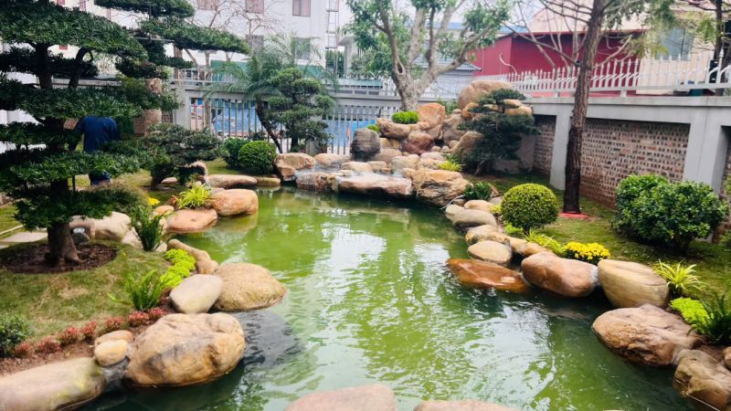 🪨 Đá cuội sỏi vàng – Điểm nhấn tinh tế trong hồ cá và tiểu cảnh sân vườn